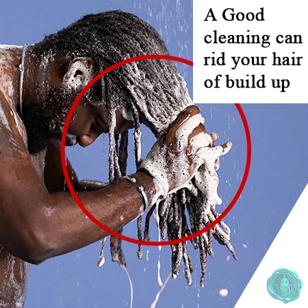 Black african man washing dreadlocks in shower on blue background