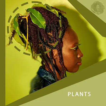 Black african model wearing flower or plant in her black faux locs hair as an accessory