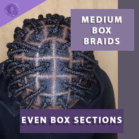 Black man with evenly sectioned medium box braids hairstyle from top view.