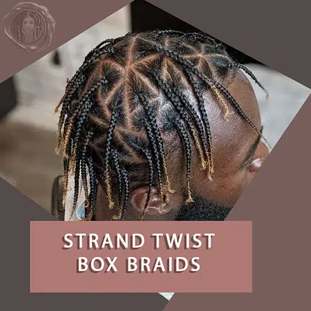 Strand twist men box braids hairstyle on black male model at salon